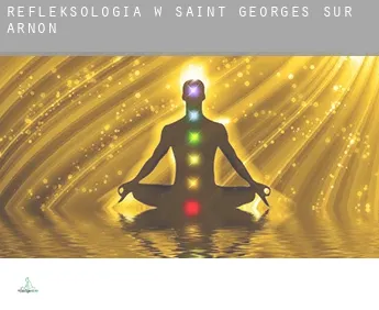 Refleksologia w  Saint-Georges-sur-Arnon