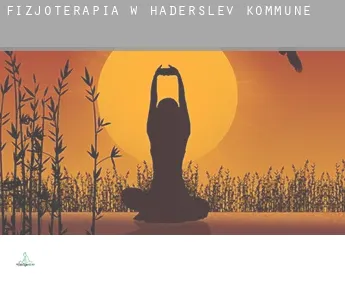 Fizjoterapia w  Haderslev Kommune