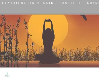 Fizjoterapia w Saint-Basile-le-Grand