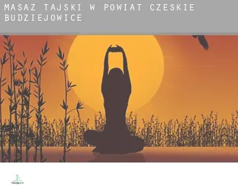 Masaż tajski w  Powiat Czeskie Budziejowice