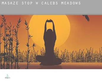 Masaże stóp w  Calebs Meadows