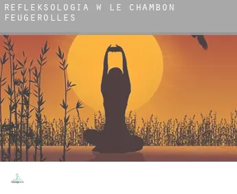 Refleksologia w  Le Chambon-Feugerolles