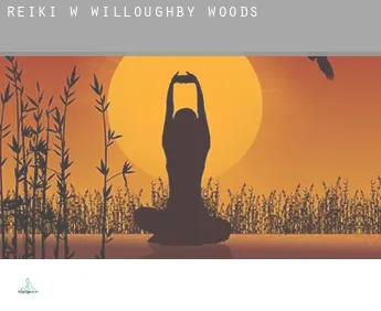 Reiki w  Willoughby Woods