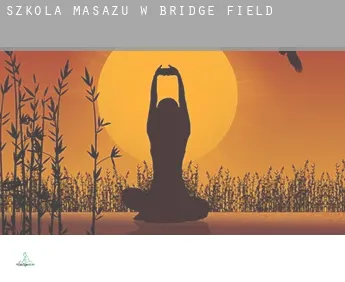 Szkoła masażu w  Bridge Field