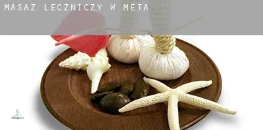 Masaż leczniczy w Meta