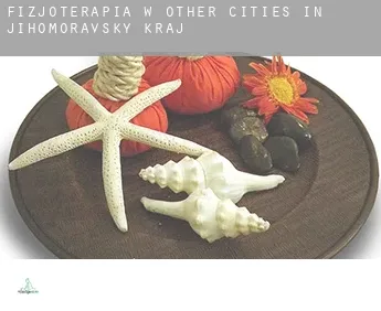Fizjoterapia w  Other cities in Jihomoravsky kraj