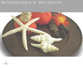 Refleksologia w  Ortigueira