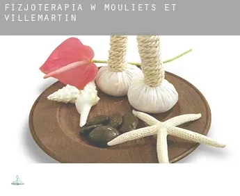 Fizjoterapia w  Mouliets-et-Villemartin