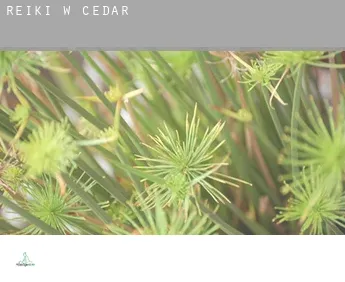 Reiki w  Cedar