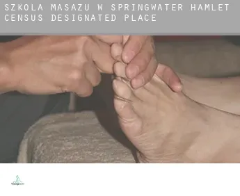 Szkoła masażu w  Springwater Hamlet