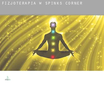 Fizjoterapia w  Spinks Corner