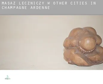 Masaż leczniczy w  Other cities in Champagne-Ardenne