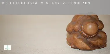 Refleksologia w Stany Zjednoczone