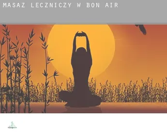 Masaż leczniczy w  Bon Air