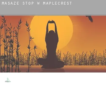 Masaże stóp w  Maplecrest