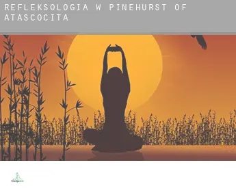 Refleksologia w  Pinehurst of Atascocita