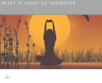 Reiki w  Jussy-le-Chaudrier