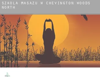 Szkoła masażu w  Chevington Woods North