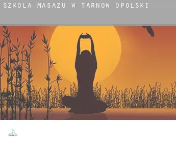 Szkoła masażu w  Tarnów Opolski