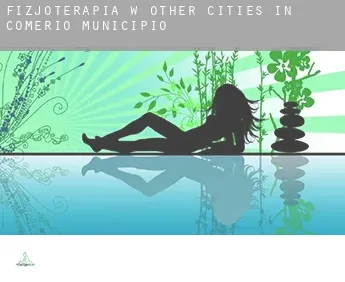 Fizjoterapia w  Other cities in Comerio Municipio