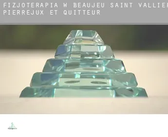 Fizjoterapia w  Beaujeu-Saint-Vallier-Pierrejux-et-Quitteur