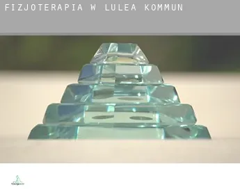 Fizjoterapia w  Luleå Kommun