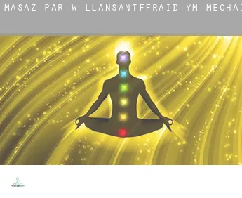 Masaż par w  Llansantffraid-ym-Mechain