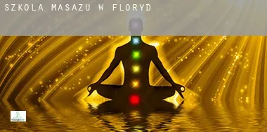 Szkoła masażu w Floryda