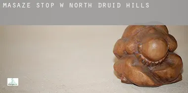 Masaże stóp w  North Druid Hills
