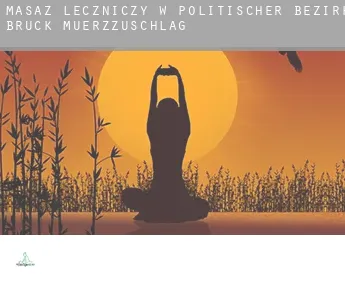 Masaż leczniczy w  Politischer Bezirk Bruck-Muerzzuschlag