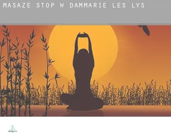 Masaże stóp w  Dammarie-les-Lys