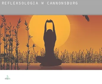 Refleksologia w  Cannonsburg