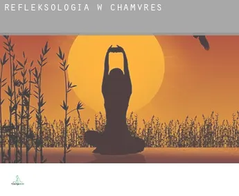 Refleksologia w  Chamvres