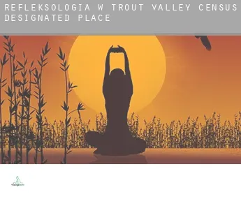 Refleksologia w  Trout Valley