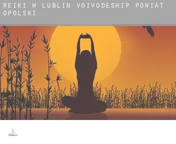 Reiki w  Powiat opolski (Lublin Voivodeship)