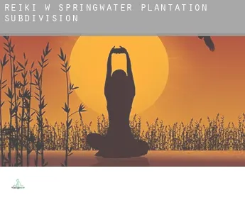 Reiki w  Springwater Plantation Subdivision