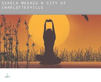 Szkoła masażu w  City of Charlottesville