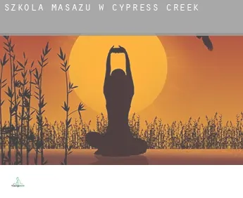 Szkoła masażu w  Cypress Creek