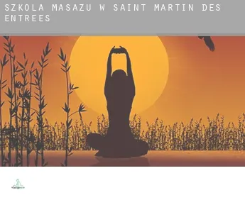 Szkoła masażu w  Saint-Martin-des-Entrées